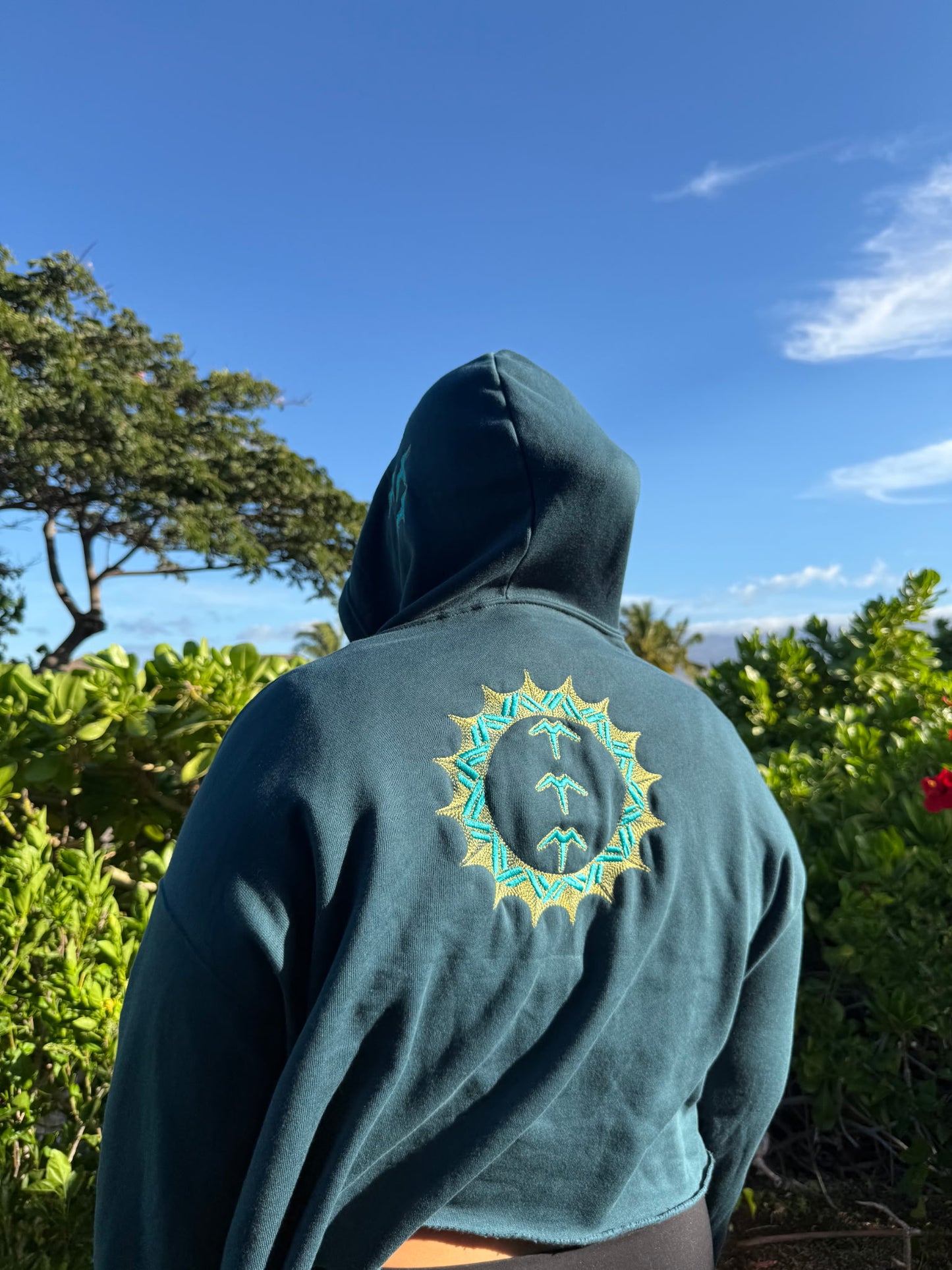 Kolu Cropped Hoodie